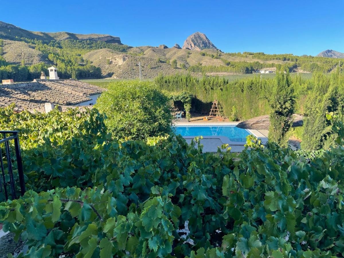 Casas Rurales El Cabezo De La Torre Villa Cieza Eksteriør bilde